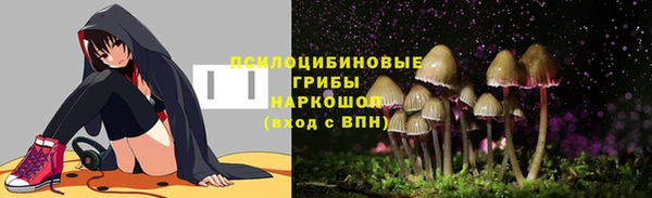 синтетический гашиш Богородицк