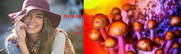 синтетический гашиш Богородицк