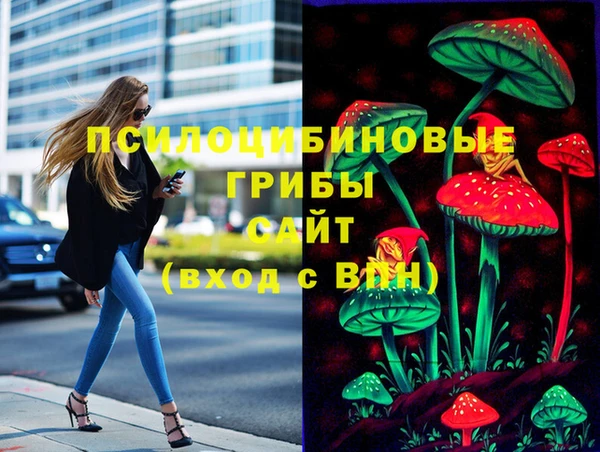 МДПВ Богданович