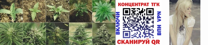 ТГК жижа мориарти официальный сайт Нижний Тагил